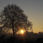 stilte-23-11