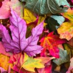 stil-nov-08