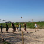 IMG_8184