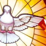 Viernu_Pinksteren_banner_1950x500