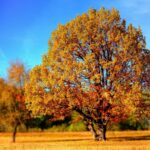 stil-nov-21