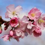 stil-feb-20